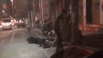 金8视频在线观看,畅享精彩瞬间，尽在指尖